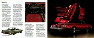 1973 Pontiac Full Size (Cdn)-14-15.jpg